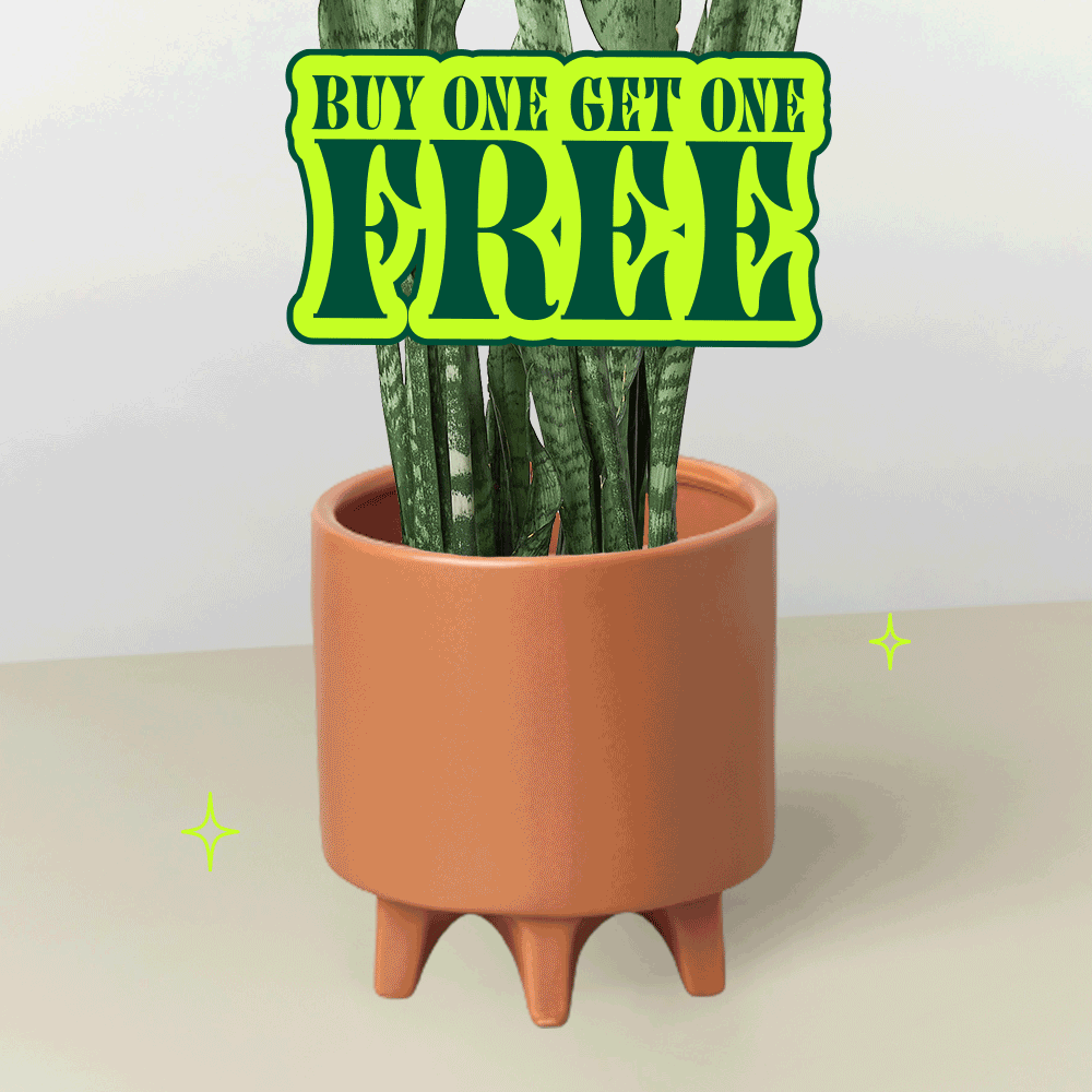 Planters🪴 Buy one get one FREE! House Plant Shop