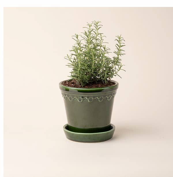 Københavner Pots