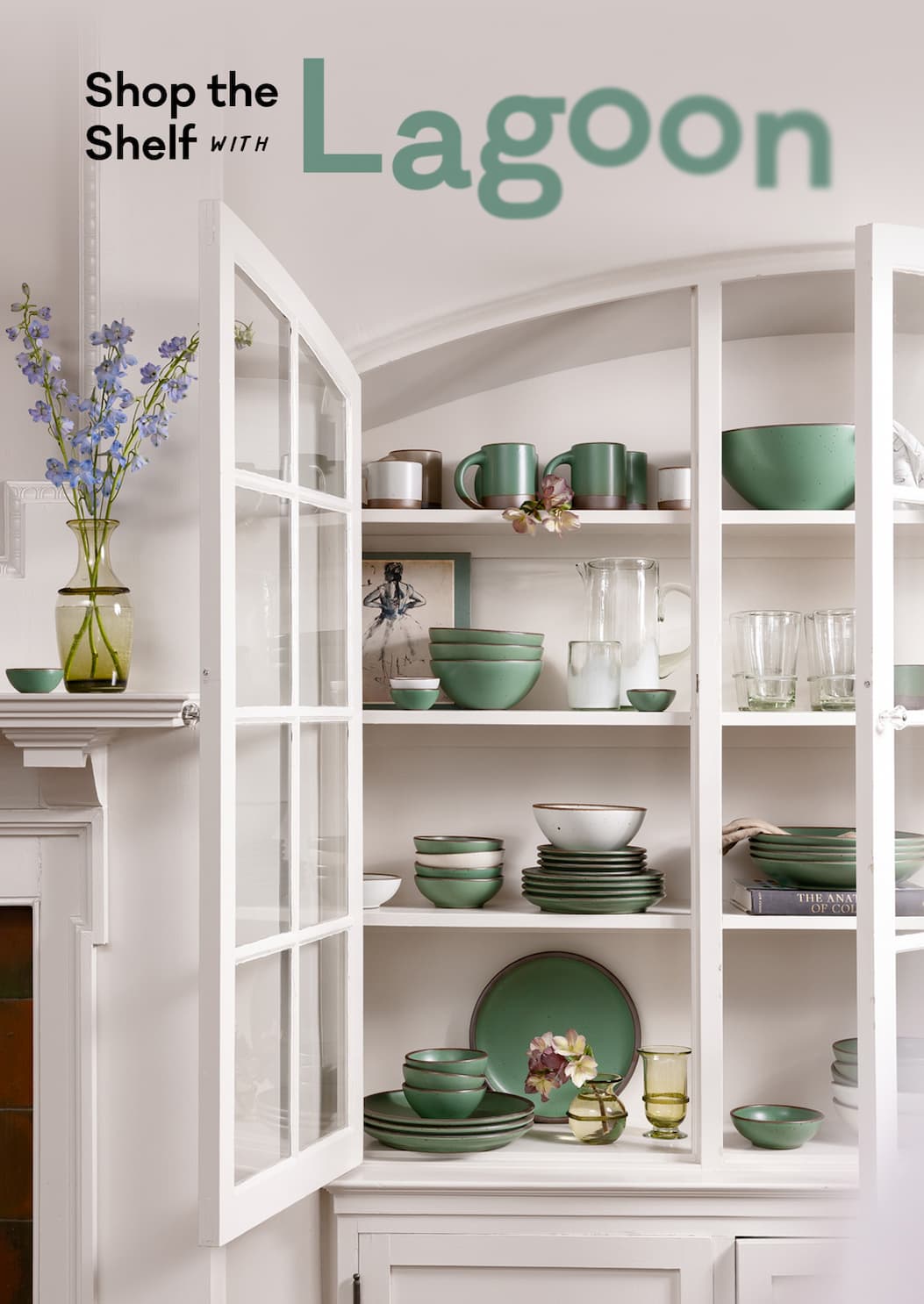 Shop the Shelf with Lagoon