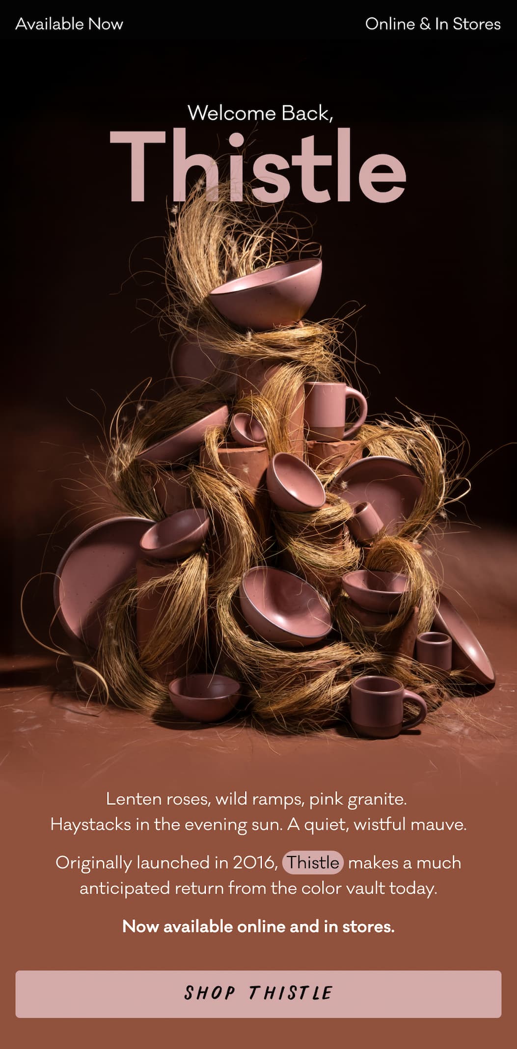 Welcome Back, Thistle. Available Now, Online & In Stores. Lenten roses, wild ramps, pink granite.  Haystacks in the evening sun. A quiet, wistful mauve. Originally launched in 2016,  Thistle  makes a much anticipated return from the color vault today. Now available online and in stores. Shop Thistle.