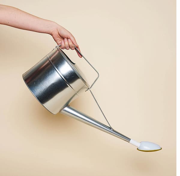 Iron Watering Can
