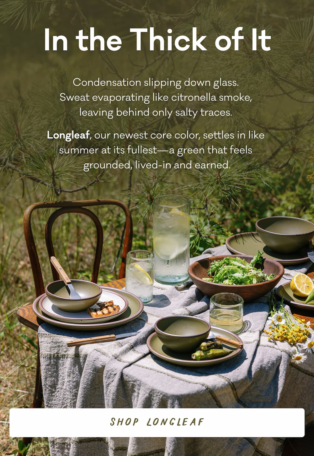 In the Thick of It Condensation slipping down glass.  Sweat evaporating like citronella smoke,  leaving behind only salty traces.&nbsp; Longleaf, our newest core color, settles in like  summer at its fullest—a green that feels  grounded, lived-in, and earned. Shop Longleaf