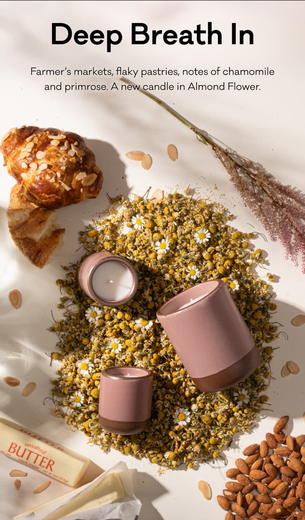 Deep Breath In - Farmer's Markets, flaky pastries, notes of chamomile and primrose. A new candle in Almond Flower. 