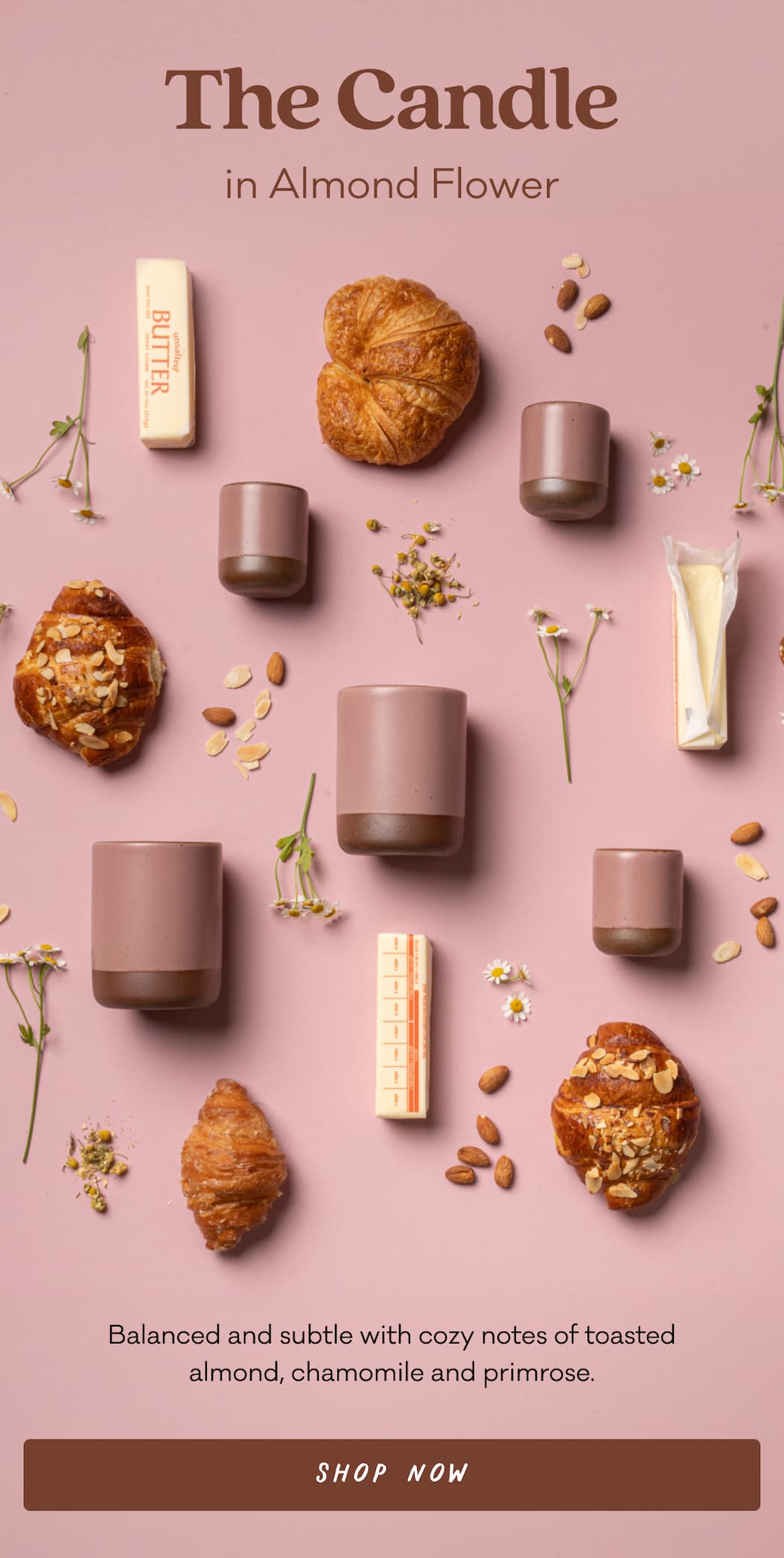 The Candle in Almond Flower - Balanced and subtle with cozy notes of toasted almond, chamomile and primrose. Shop Now
