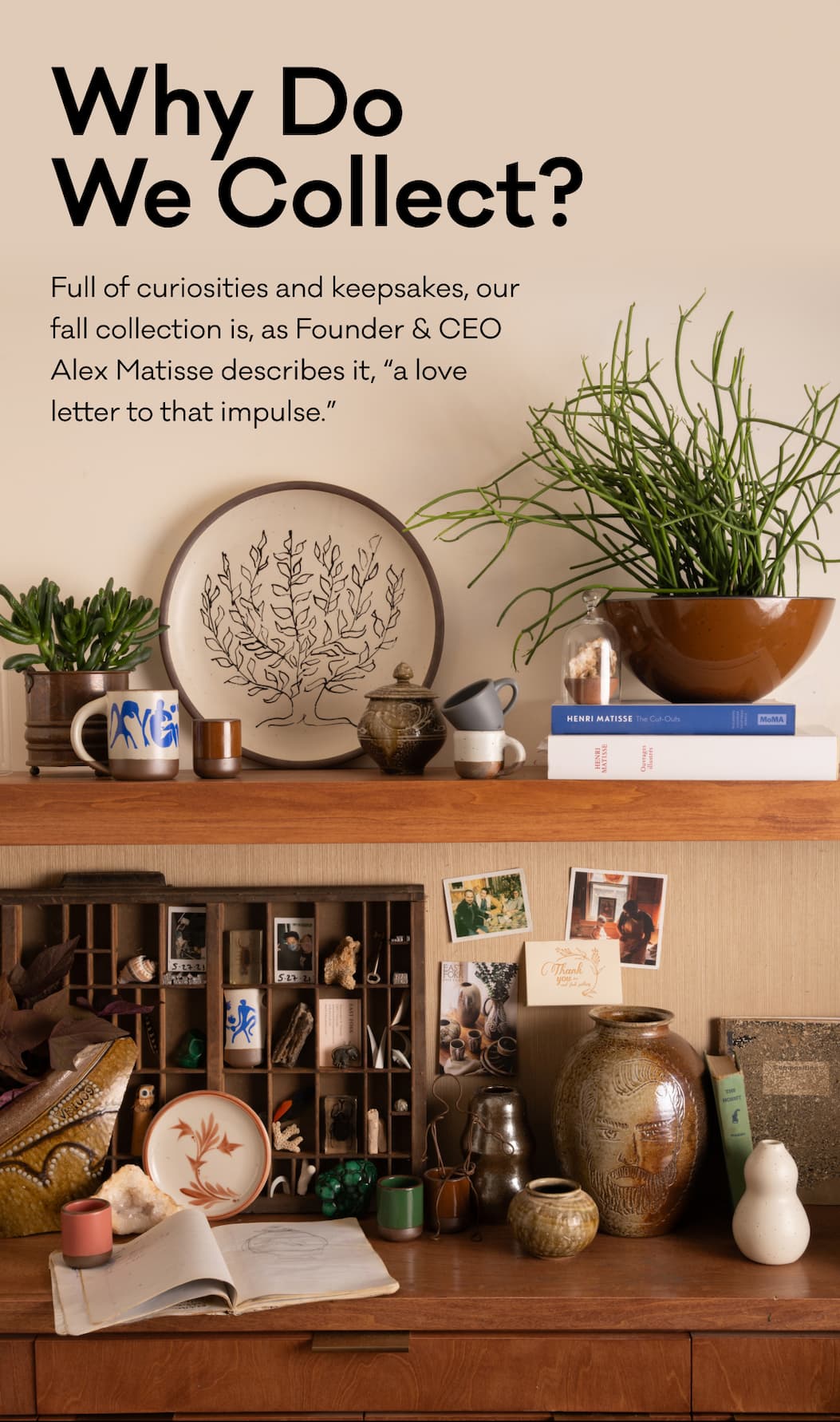 Why Do We Collect? Full of curiosities and keepsakes, our fall collection is, as Founder & CEO Alex Matisse describes it, “a love letter to that impulse.” Why Do We Collect? Full of curiosities and keepsakes, our fall collection is, as Founder & CEO Alex Matisse describes it, “a love letter to that impulse.”