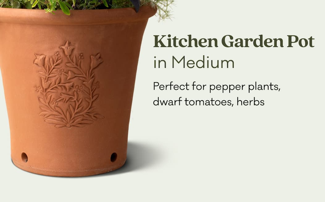 Kitchen Garden Pot in Medium