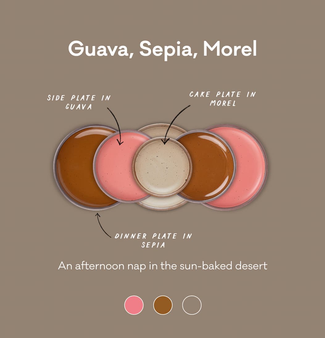 Guava, Sepia, Morel, An afternoon nap in the sun-baked desert