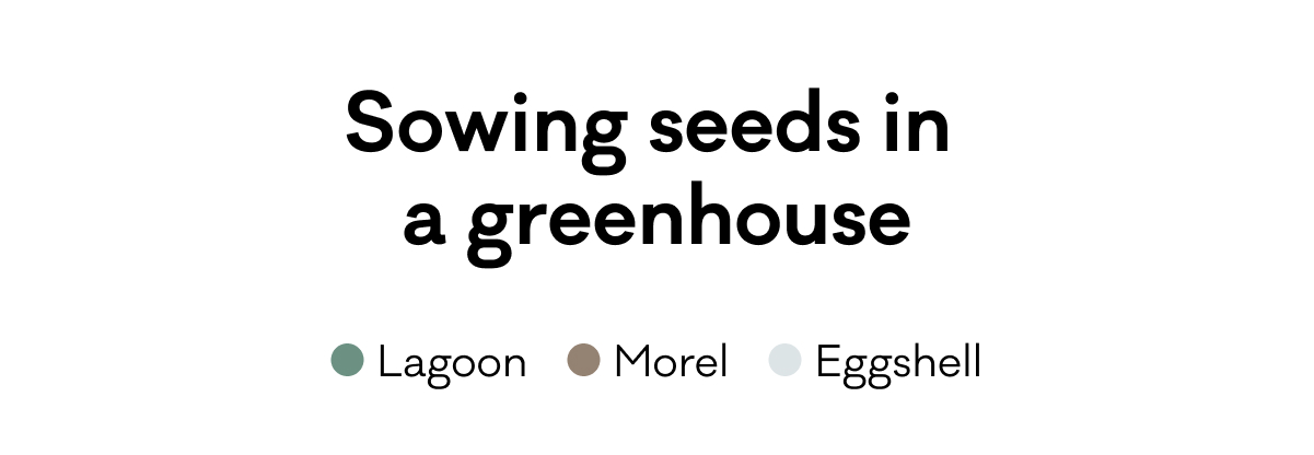 Sowing seeds in a greenhouse - Lagoon, Morel, Eggshell