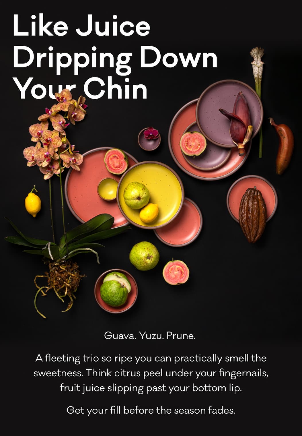 Like Juice Dripping Down Your Chin - Guava. Yuzu. Prune.  A fleeting trio so ripe you can practically smell the sweetness. Think citrus peel under your fingernails, fruit juice slipping past your bottom lip. Get your fill before the season fades. Like Juice Dripping Down Your Chin - Guava. Yuzu. Prune.  A fleeting trio so ripe you can practically smell the sweetness. Think citrus peel under your fingernails, fruit juice slipping past your bottom lip. Get your fill before the season fades.
