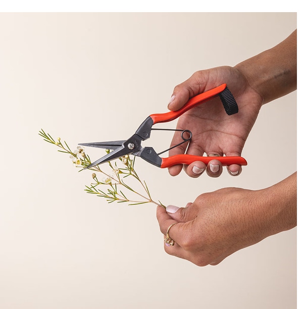 Graden Snips