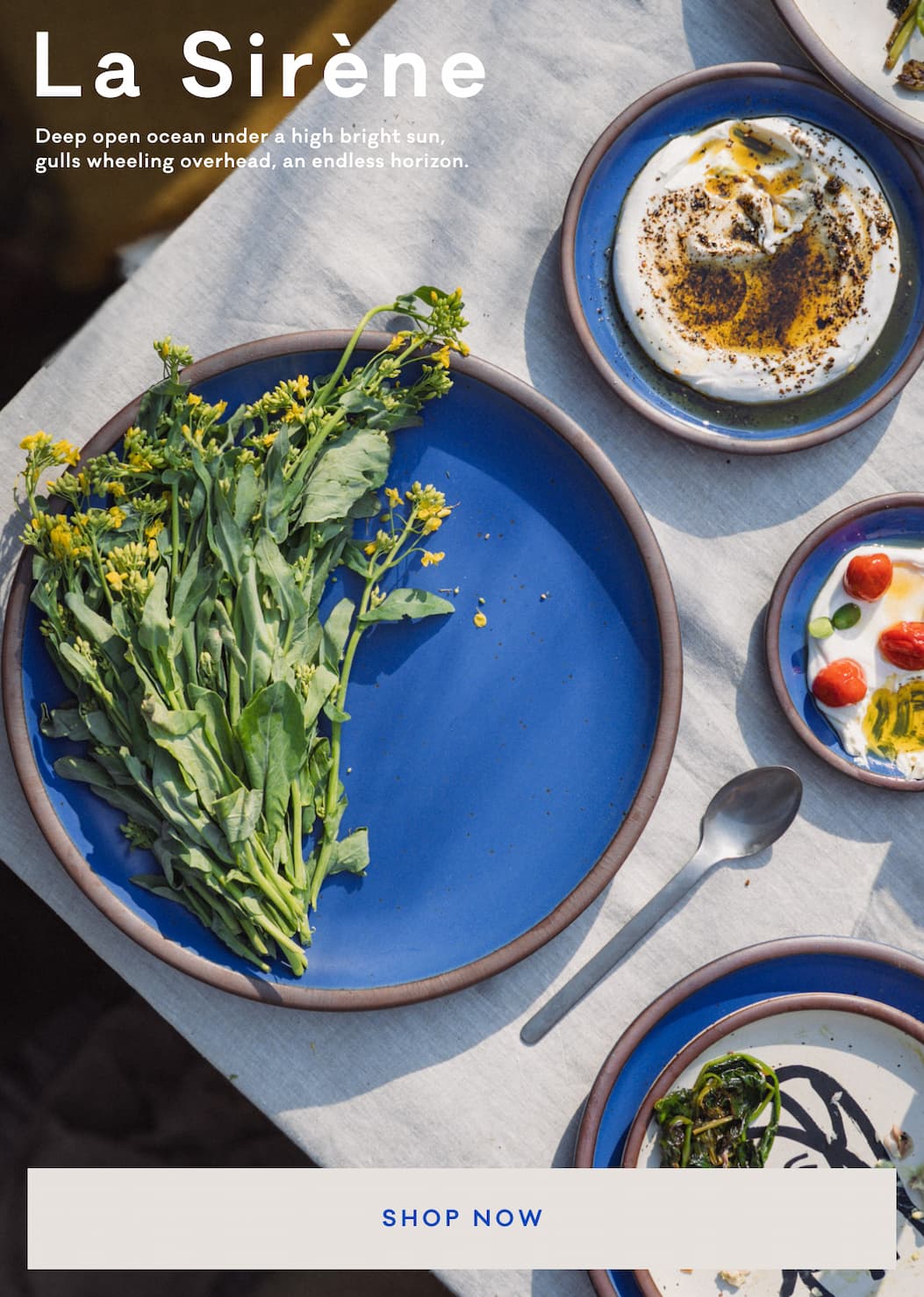 La Sirène - Deep open ocean under a high bright sun, gulls wheeling overhead, an endless horizon. Shop Now