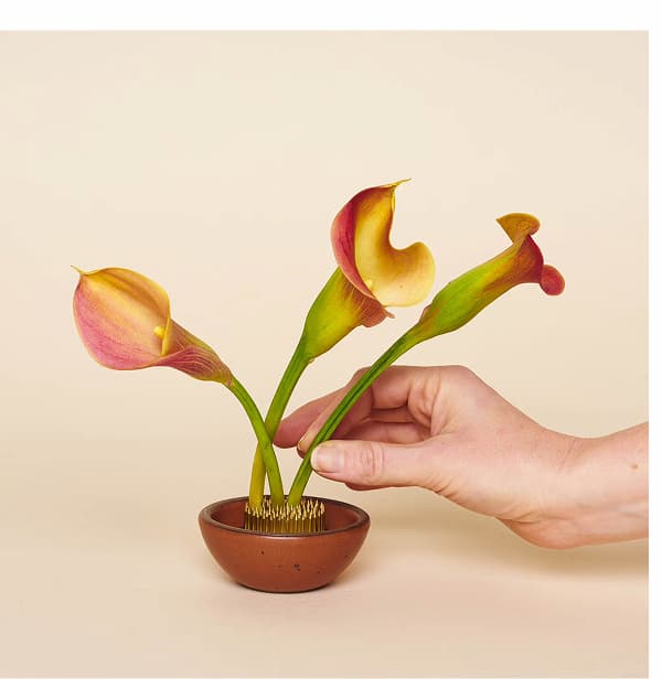 Flower Frog Flower Frog