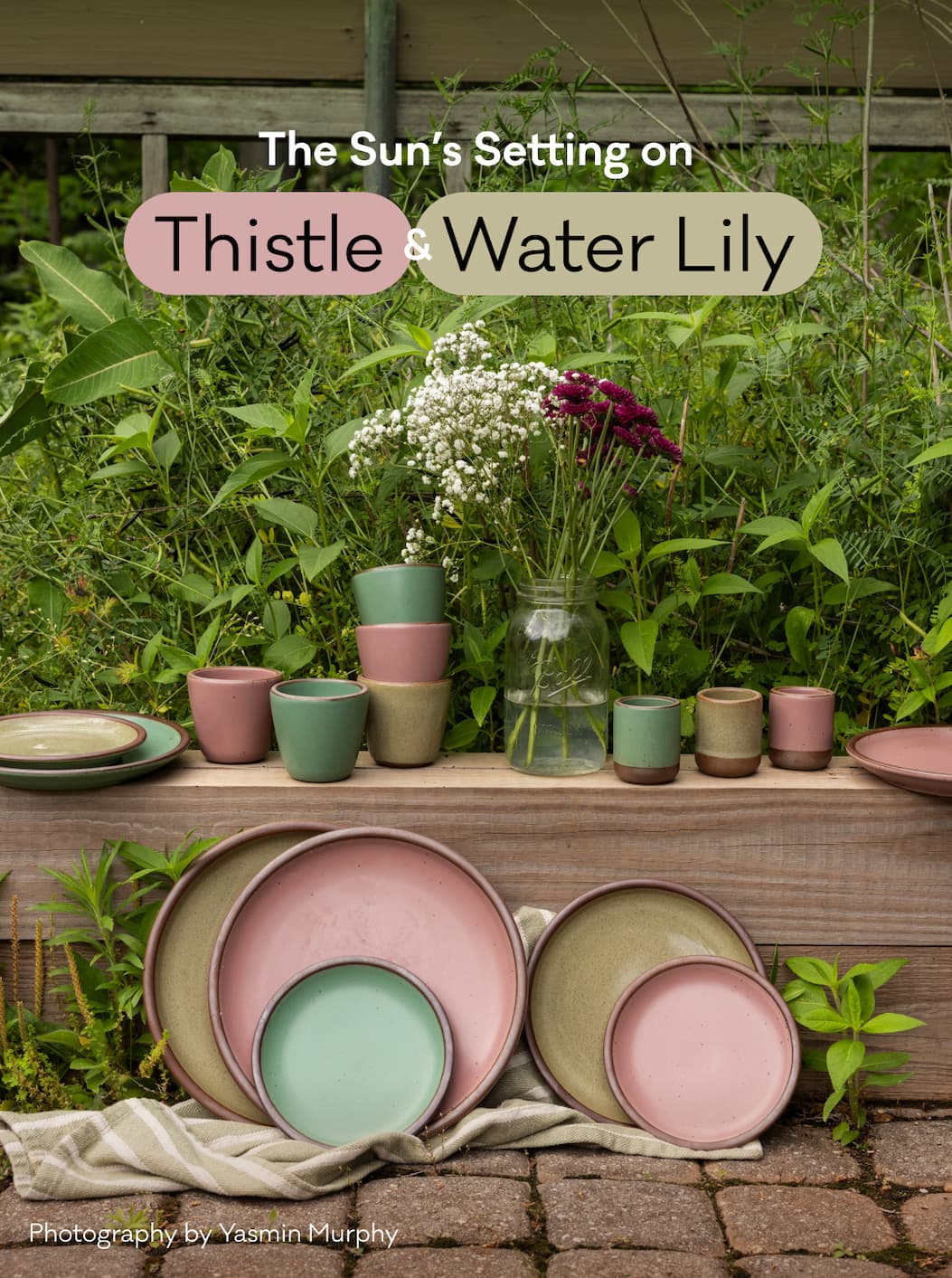 The Sun's Setting on Thistle & Water Lily
