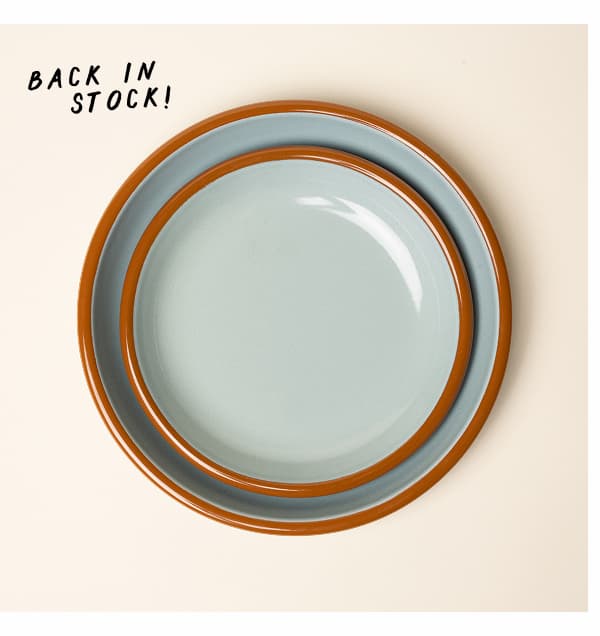 Enamel Plate in Robin - Back in Stock