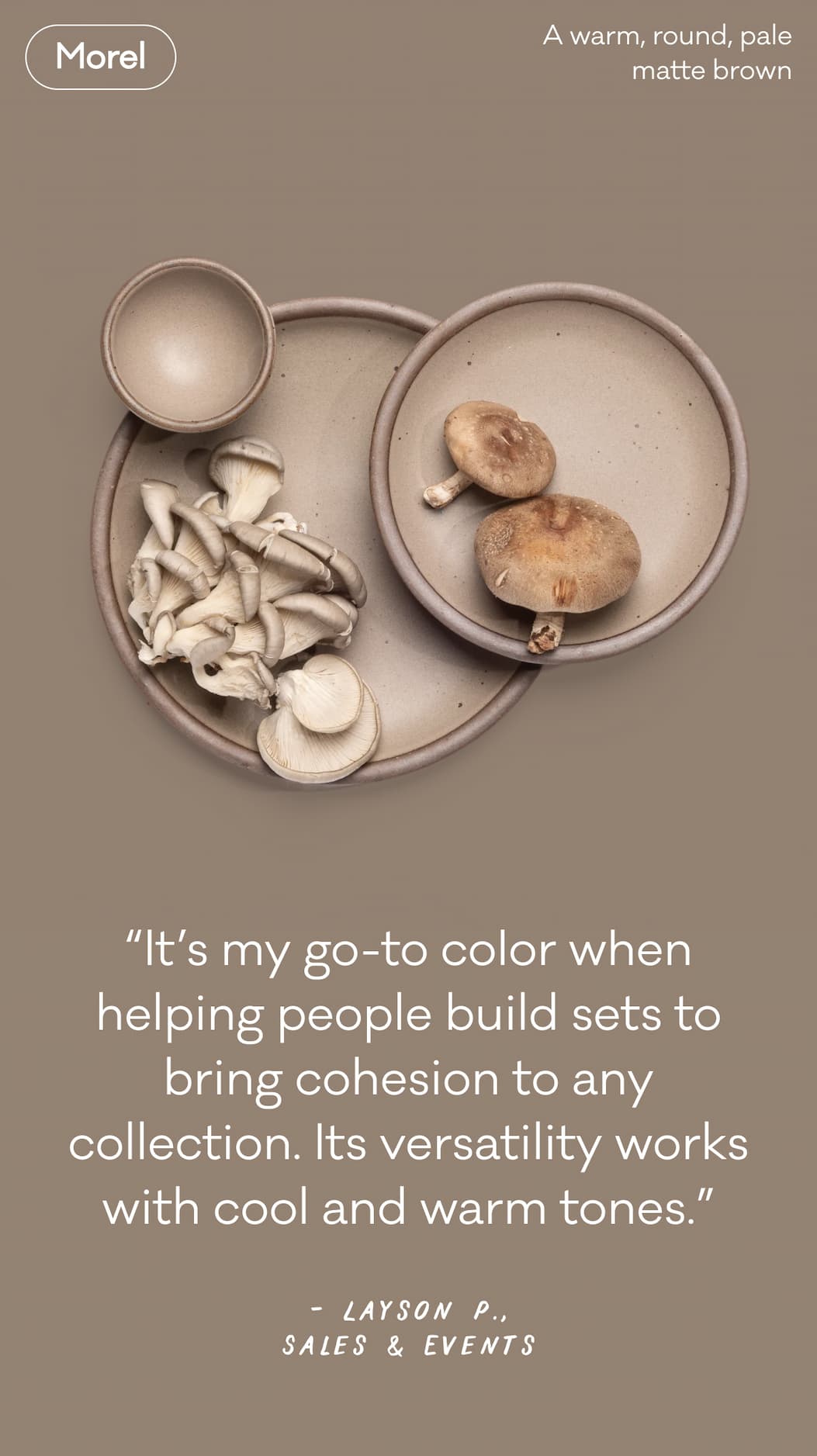 Morel - A warm, round, pale matte brown. “It’s my go-to color when helping people build sets to bring cohesion to any collection. Its versatility works with cool and warm tones.” - Layson P., Sales & Events