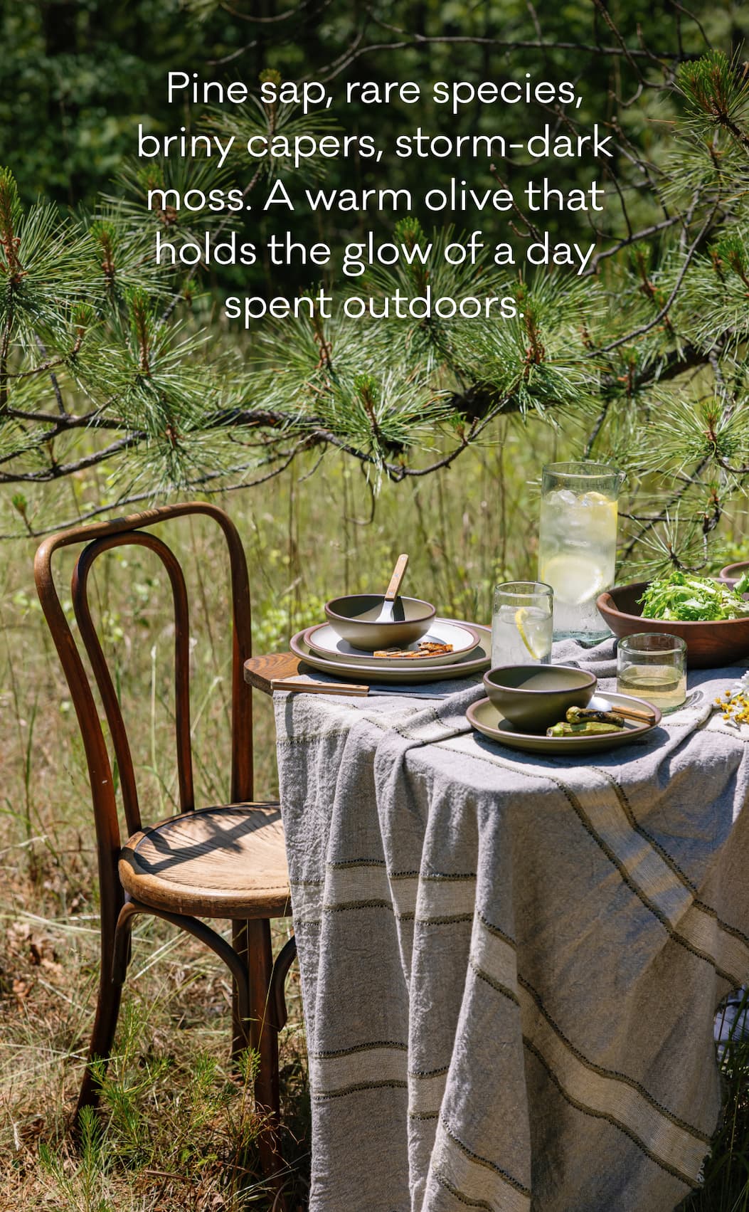 Pine sap, rare species, briny capers, storm-dark moss. A warm olive that holds the glow of a day spent outdoors.