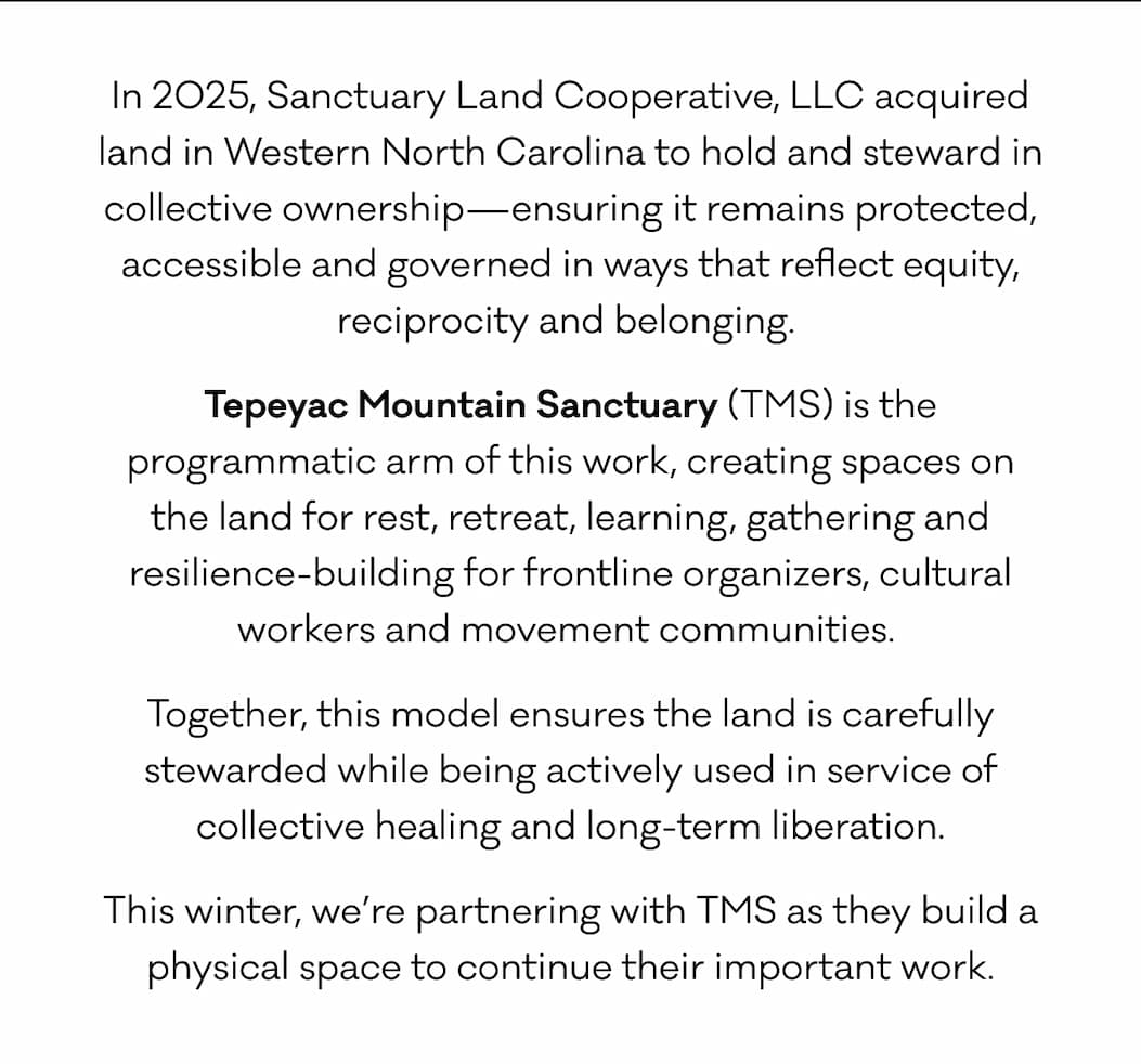In 2025, Sanctuary Land Cooperative, LLC acquired land in Western North Carolina to hold and steward in collective ownership—ensuring it remains protected, accessible and governed in ways that reflect equity, reciprocity and belonging.  Tepeyac Mountain Sanctuary (TMS) is the programmatic arm of this work, creating spaces on the land for rest, retreat, learning, gathering and resilience-building for frontline organizers, cultural workers and movement communities.  Together, this model ensures the land is carefully stewarded while being actively used in service of collective healing and long-term liberation. This winter, we’re partnering with TMS as they build a physical space to continue their important work.