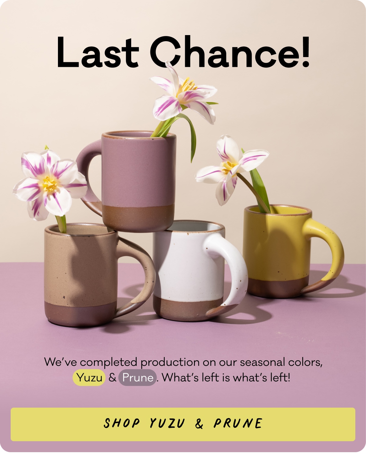 Last Chance: Yuzu & Prune