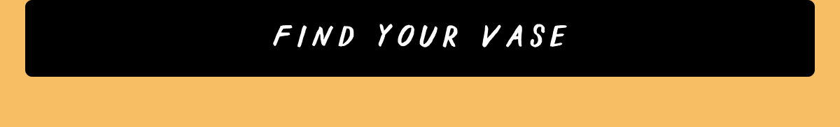 Find Your Vase Find Your Vase