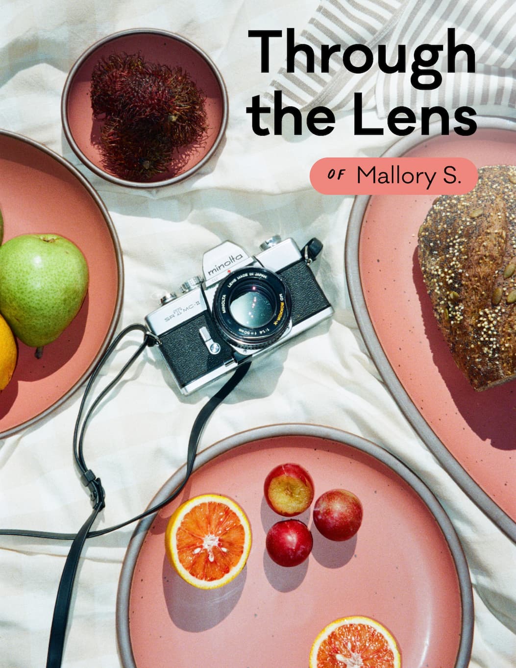 Through the Lens of Mallory S. Through the Lens of Mallory S.