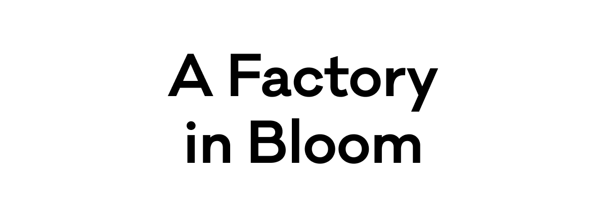 A Factory in Bloom