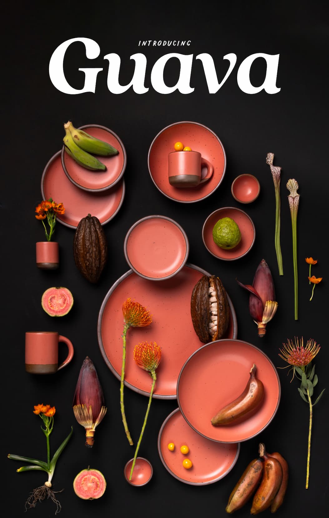 Introducing Guava Introducing Guava