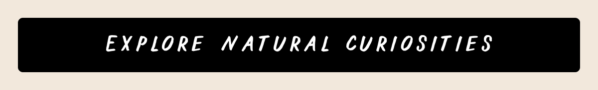 Explore Natural Curiosities