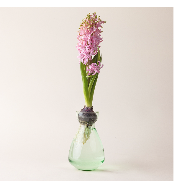 Bulb Vase