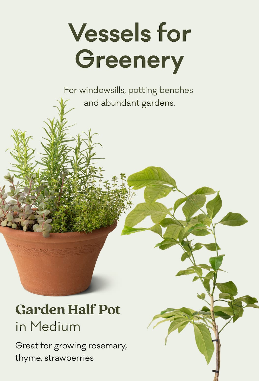 Garden Half Pot in Medium