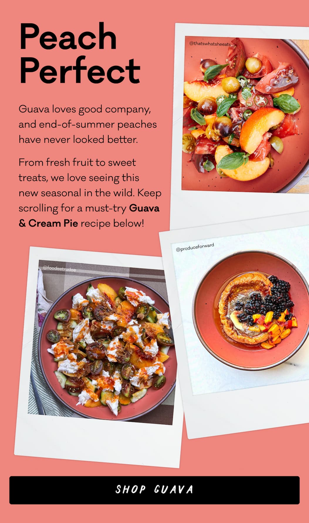 Peach Perfect - Guava loves good company, and end-of-summer peaches 
have never looked better. From fresh fruit to sweet treats, we love seeing this 
new seasonal in the wild. Keep scrolling for a must-try Guava & Cream Pie recipe below! Shop Guava Peach Perfect - Guava loves good company, and end-of-summer peaches 
have never looked better. From fresh fruit to sweet treats, we love seeing this 
new seasonal in the wild. Keep scrolling for a must-try Guava & Cream Pie recipe below! Shop Guava