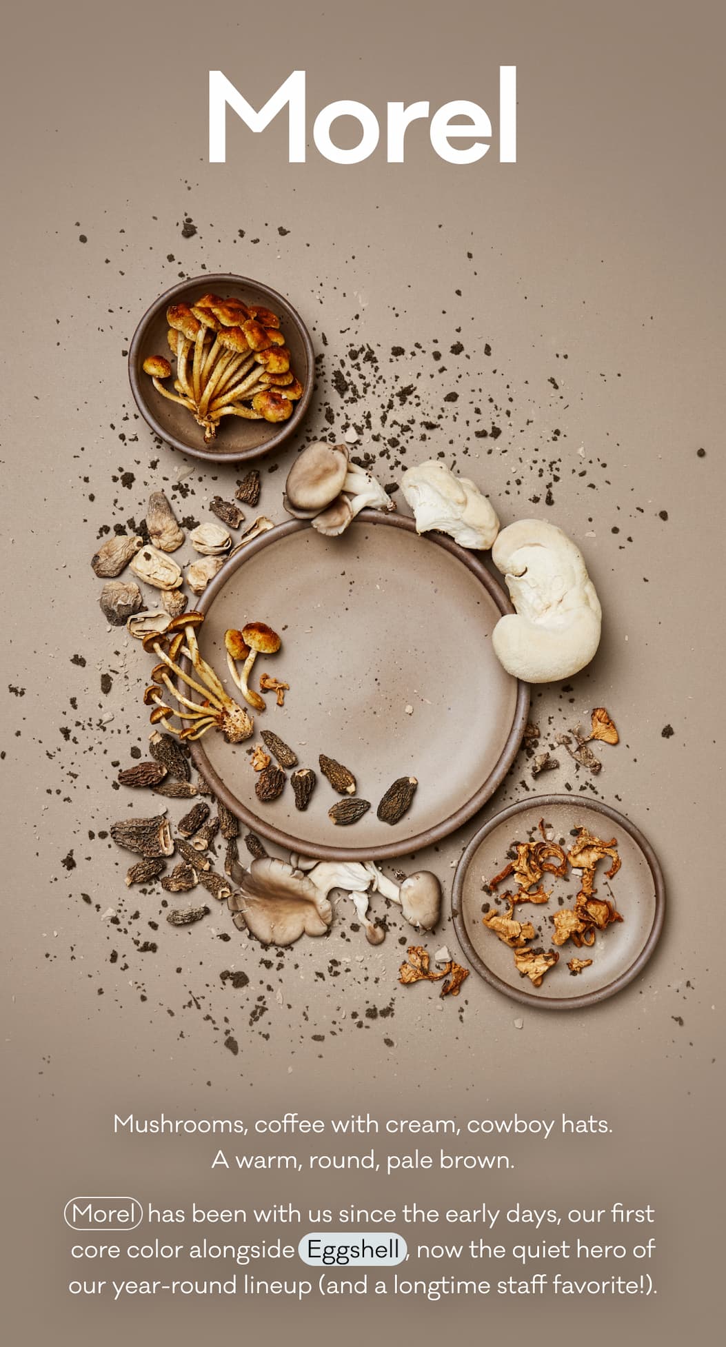 Mushrooms, coffee with cream, cowboy hats. A warm, round, pale brown. Morel  has been with us since the early days, our first core color alongside  Eggshell , now the quiet hero of our year-round lineup (and a longtime staff favorite!).
