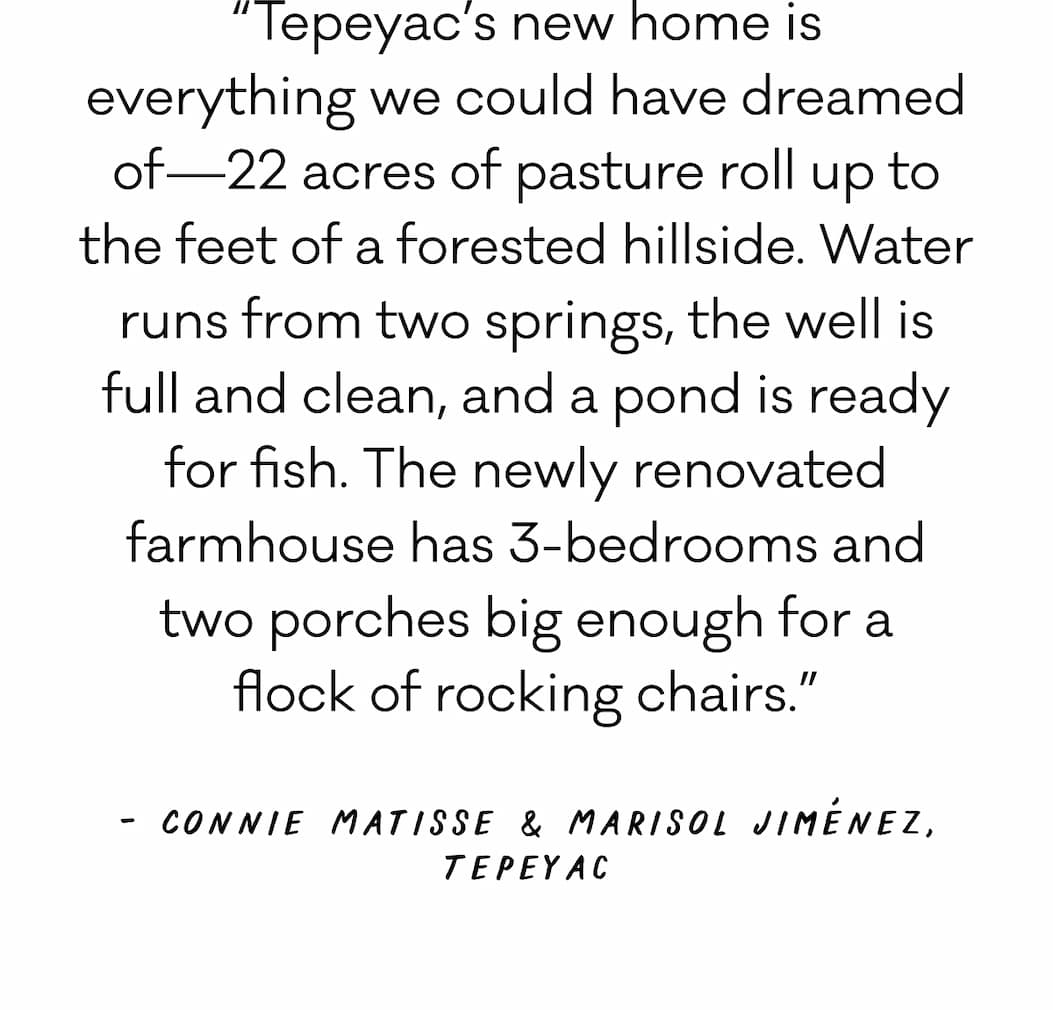“Tepeyac’s new home is everything we could have dreamed of—22 acres of pasture roll up to the feet of a forested hillside. Water runs from two springs, the well is full and clean, and a pond is ready for fish. The newly renovated farmhouse has 3-bedrooms and two porches big enough for a flock of rocking chairs.”