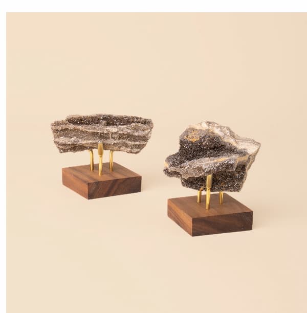 Brilliant Petrified Wood Brilliant Petrified Wood