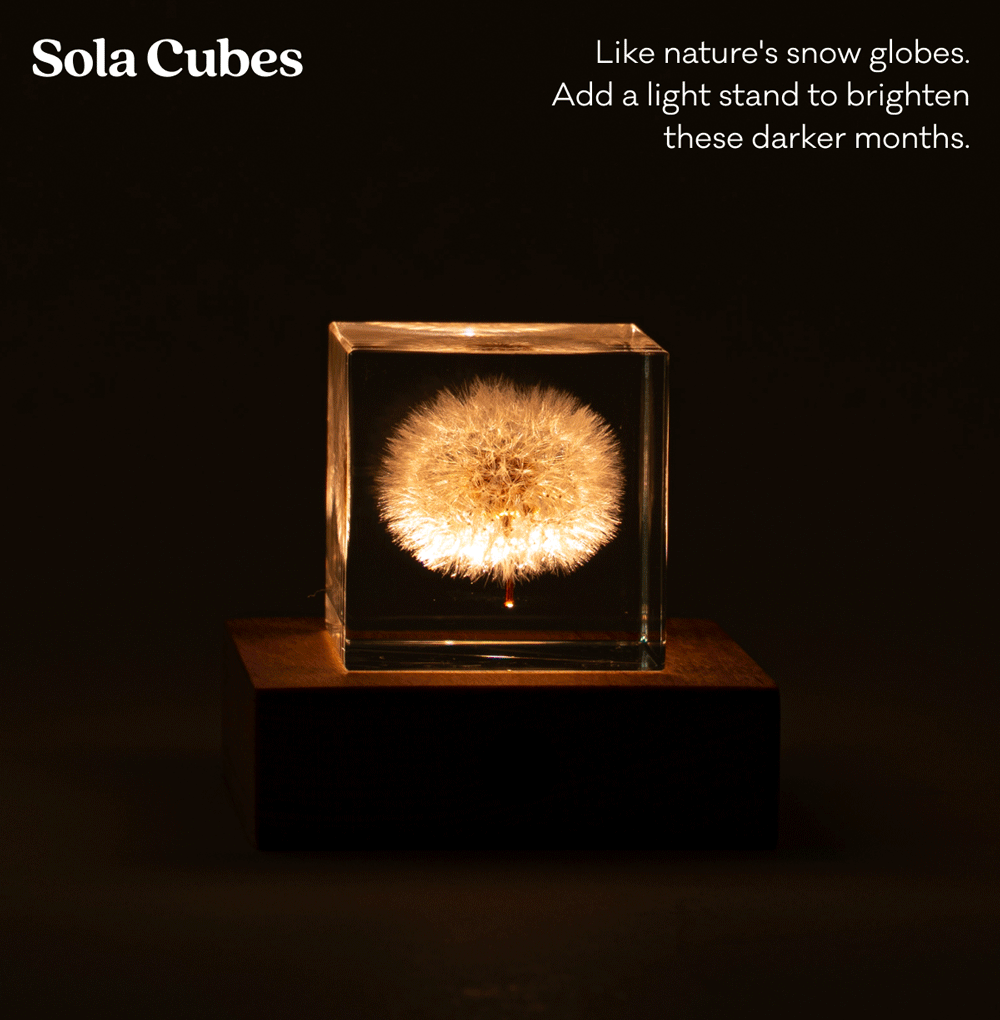 Sola Cubes - Like nature's snow globes. Add a light stand to brighten these darker months.