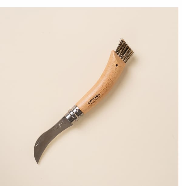 Mushroom Knife