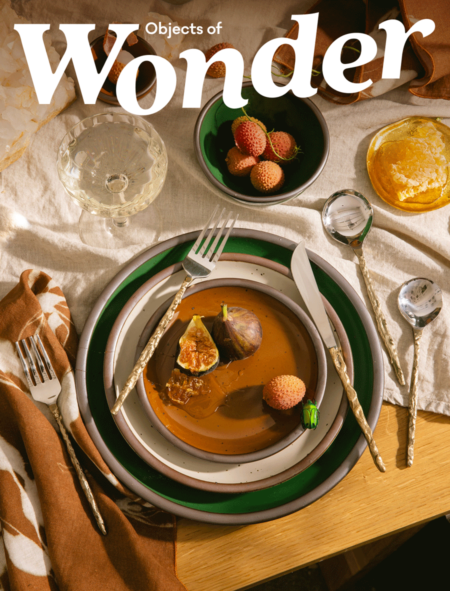 Objects of Wonder Objects of Wonder