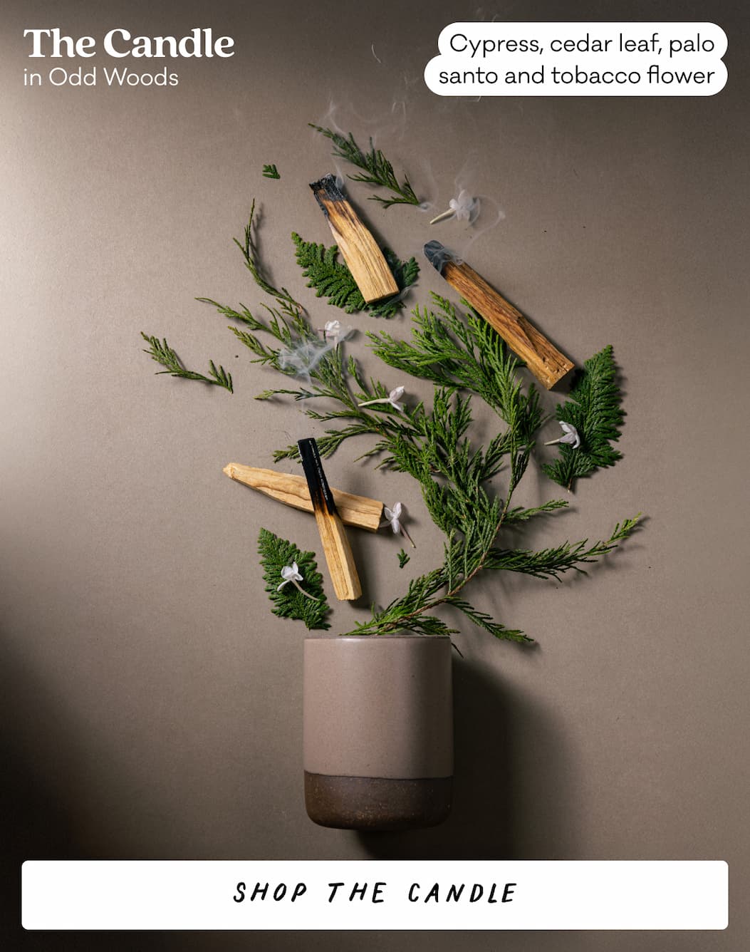 The Candle in Odd Woods - Cypress, cedar leaf, palo santo and tobacco flower. Shop the Candle