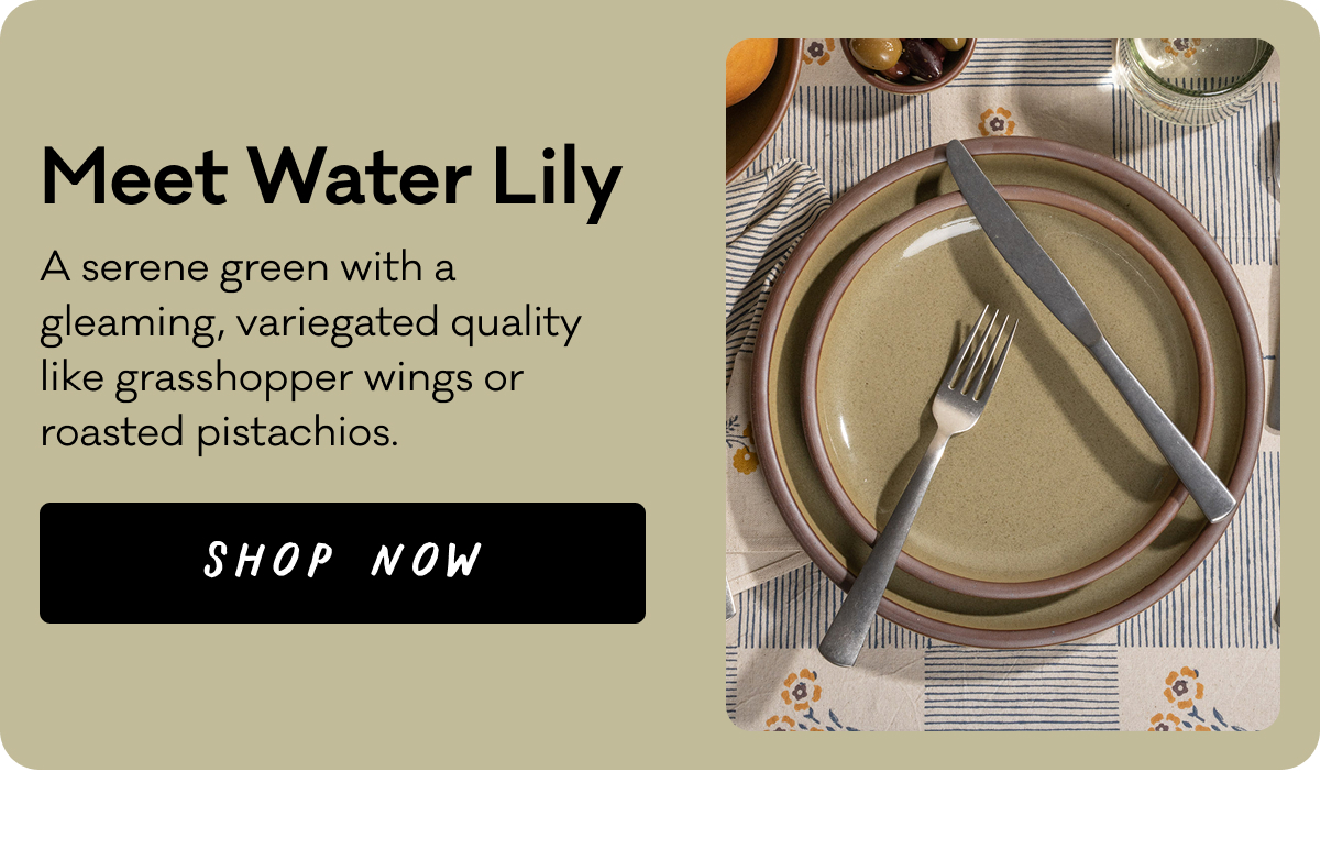 Meet Water Lily - A serene green with a gleaming, variegated quality like grasshopper wings or roasted pistachios. 