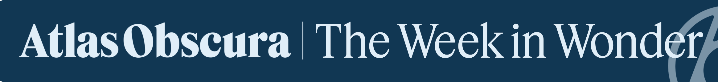 The Week in Wonder