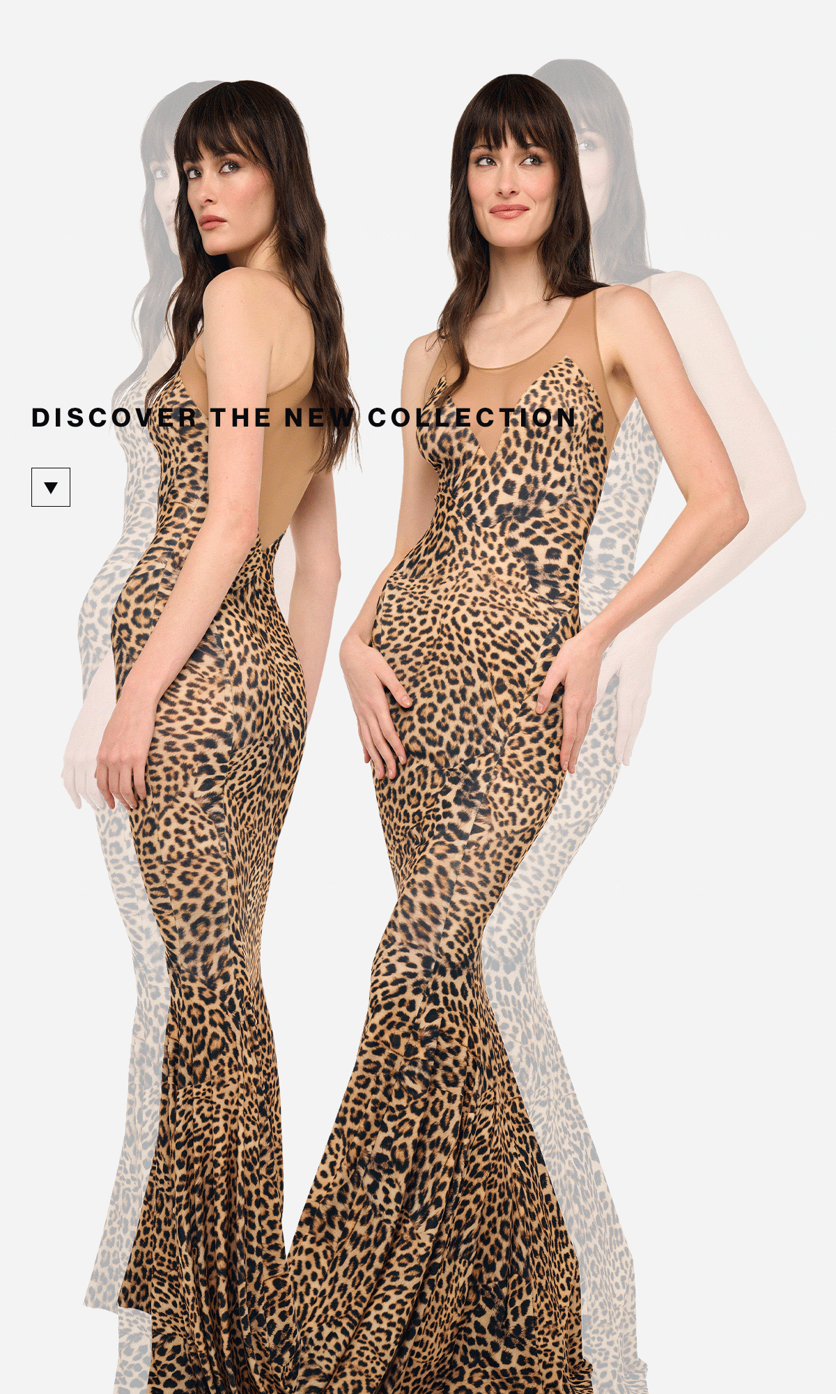 SHOP THE NEW COLLECTION