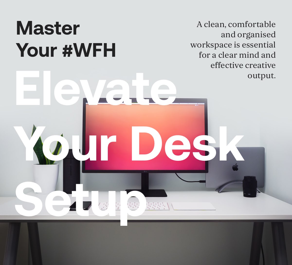 Elevate Your Desk Setup