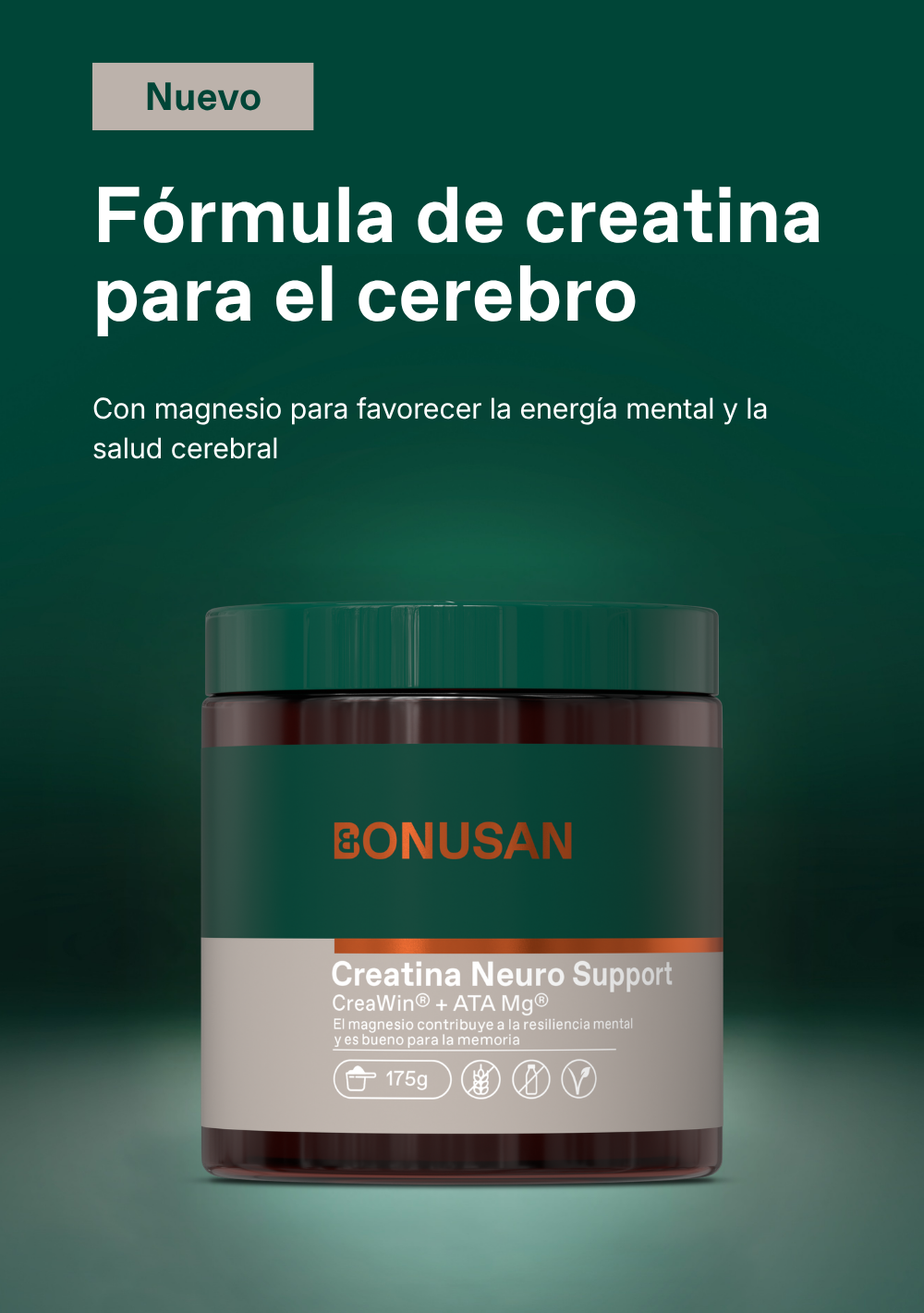 Creatina Neuro Support