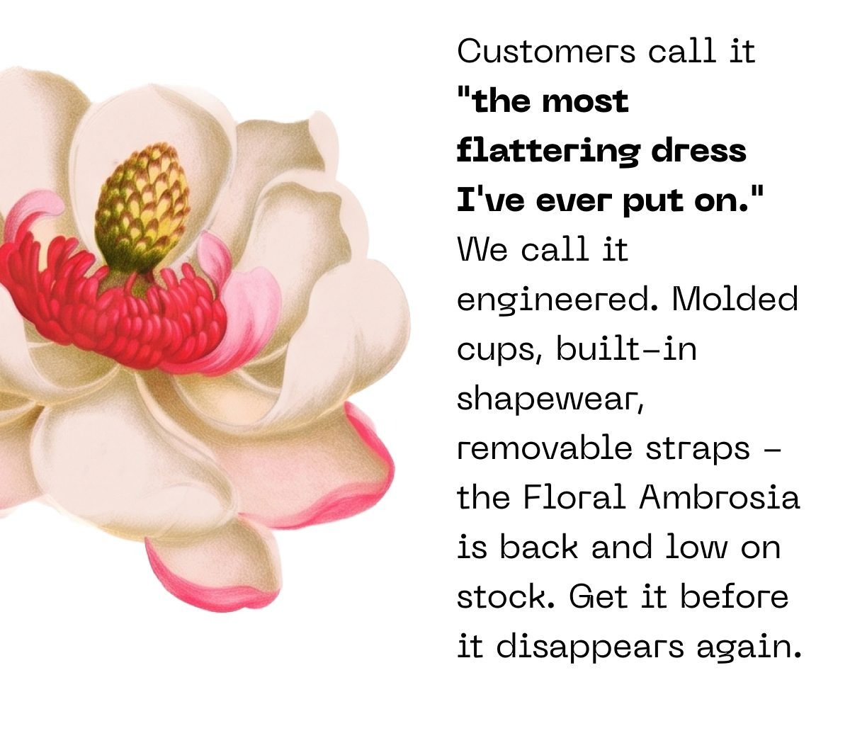 Testimonial: "the most flattering dress I've ever put on." Floral Ambrosia dress details and call to action.