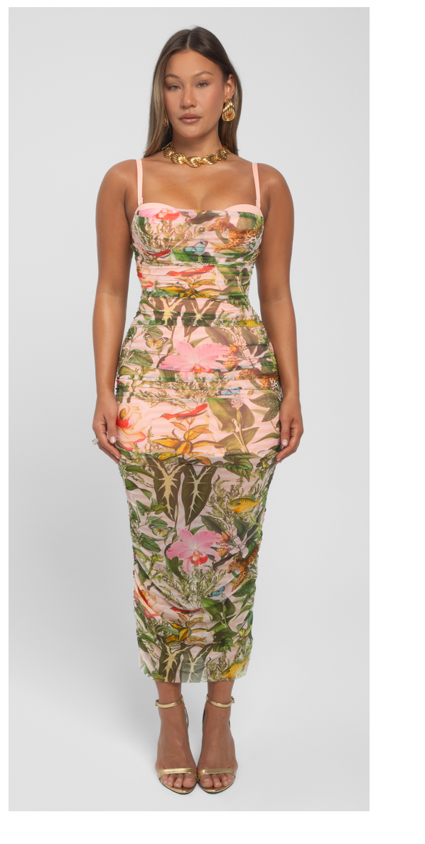 Sweetie Mesh Dress from the Front