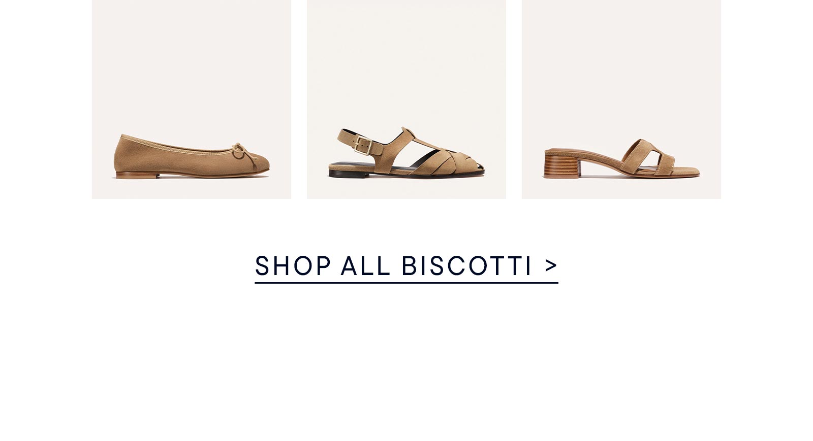 Shop all Biscotti