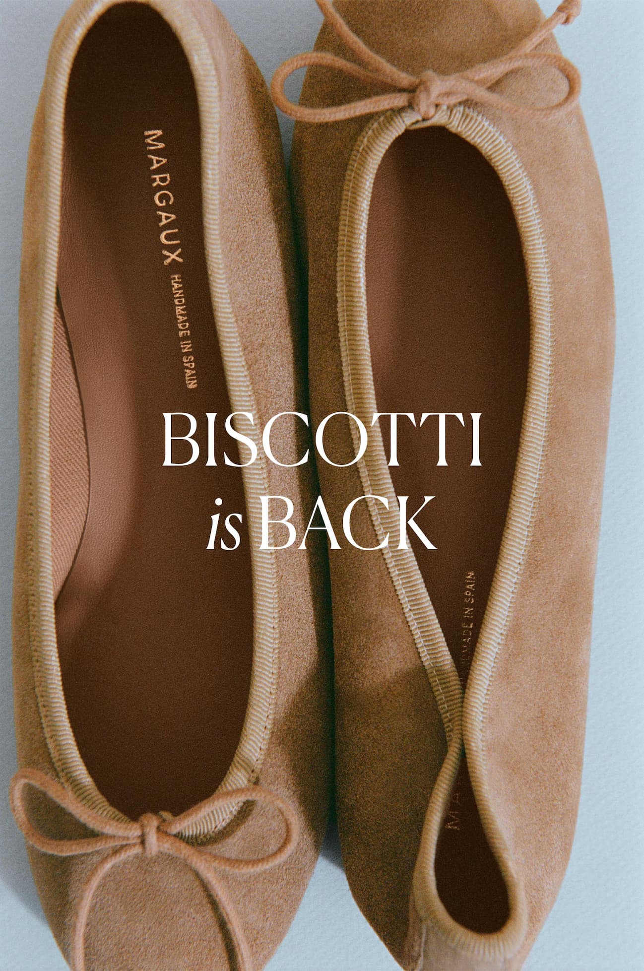 Biscotti is back