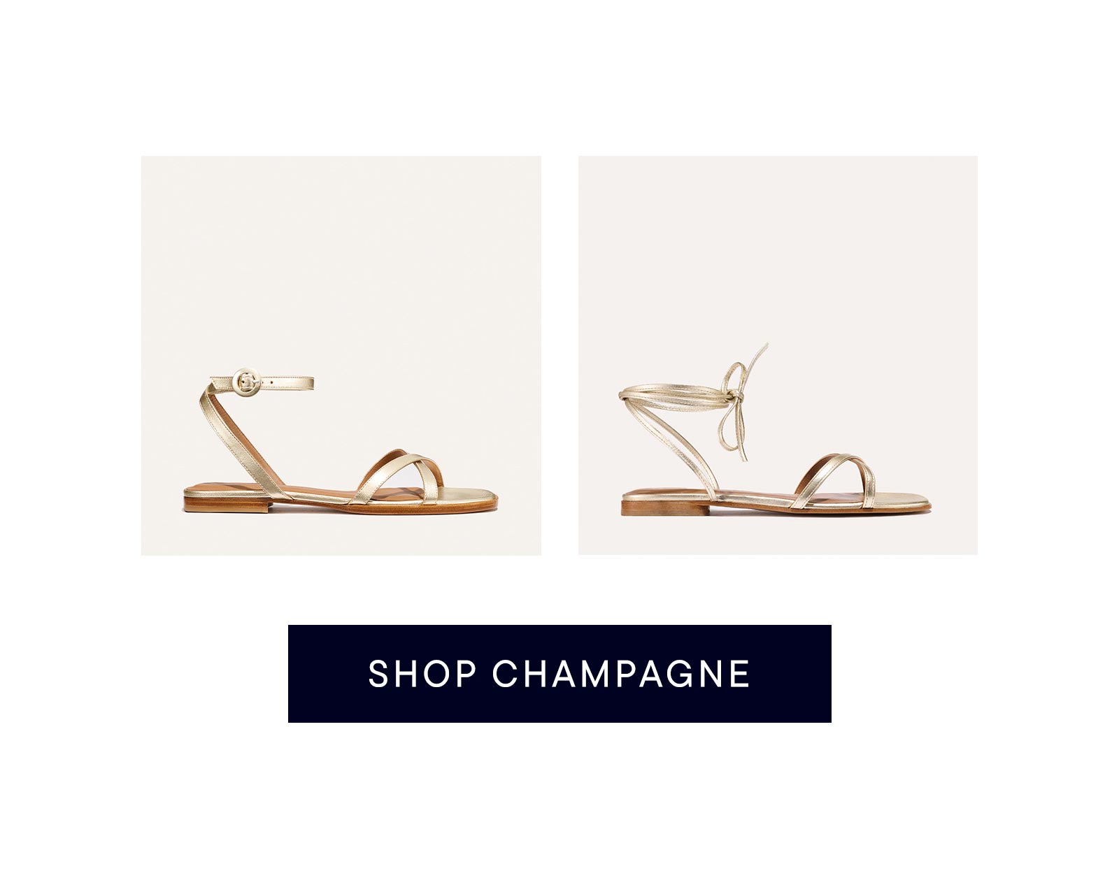 Shop Champagne