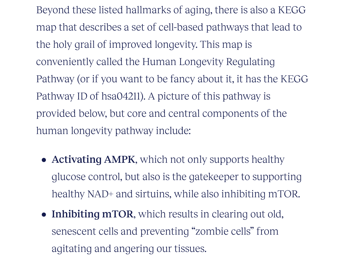 Beyond these listed hallmarks of aging, there is also a KEGG map that describes a set of cell-based pathways that lead to the holy grail of improved longevity. This map is conveniently called the Human Longevity Regulating Pathway (or if you want to be fancy about it, it has the KEGG Pathway ID of hsa04211). A picture of this pathway is provided below, but core and central components of the human longevity pathway include:  Activating AMPK, which not only supports healthy glucose control, but also is the gatekeeper to supporting healthy NAD+ and sirtuins, while also inhibiting mTOR. Inhibiting mTOR, which results in clearing out old, senescent cells and preventing “zombie cells” from agitating and angering our tissues.