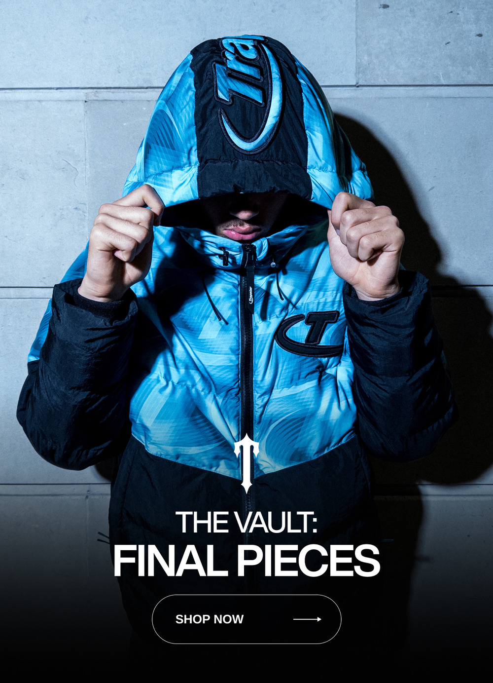 The Vault: Final Pieces