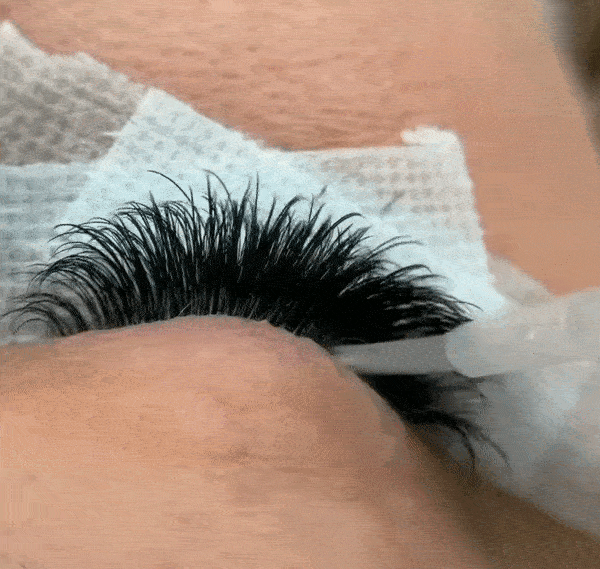 Do You REALLY Need Primer & Sealer? Soco Lashes